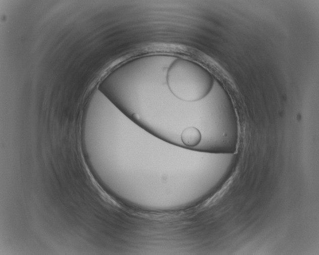 X0000082961033200702011107