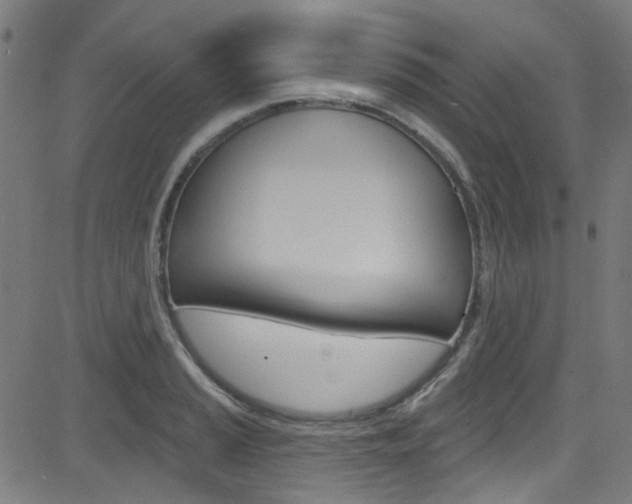 X0000082961037200702011108