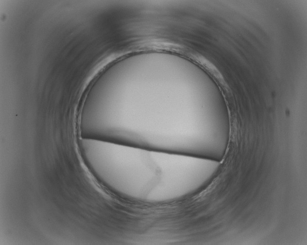 X0000082961039200702011108