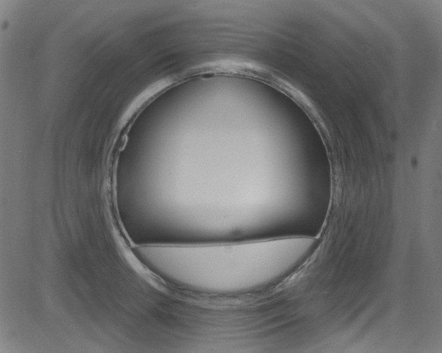 X0000082961042200702011108