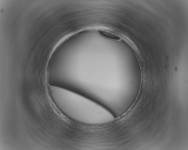 X0000082961044200702011108