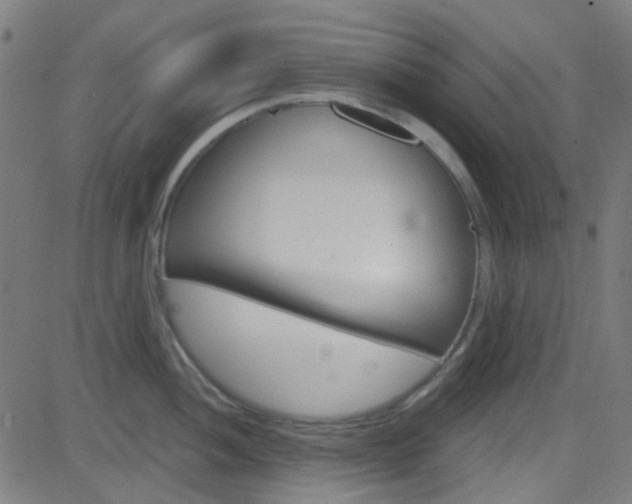 X0000082961052200702011108
