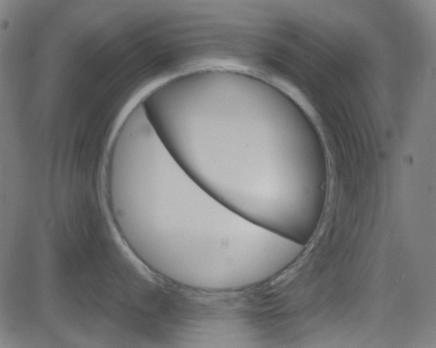 X0000082961056200702011108