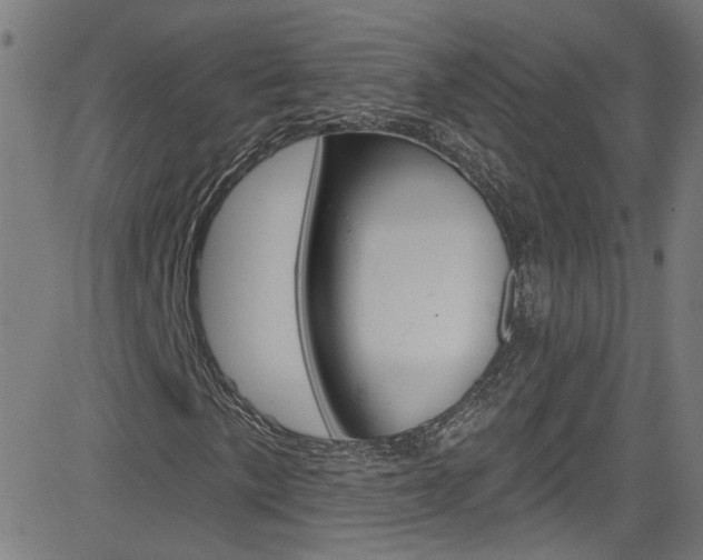 X0000082961057200702011107