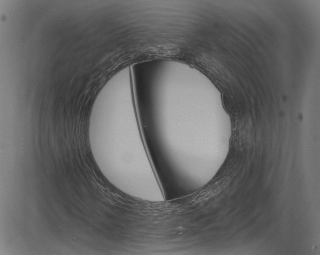 X0000082961058200702011107