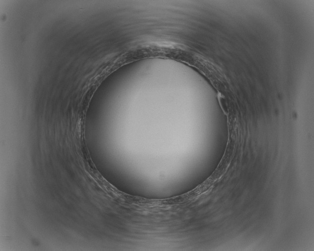 X0000082961061200702011107
