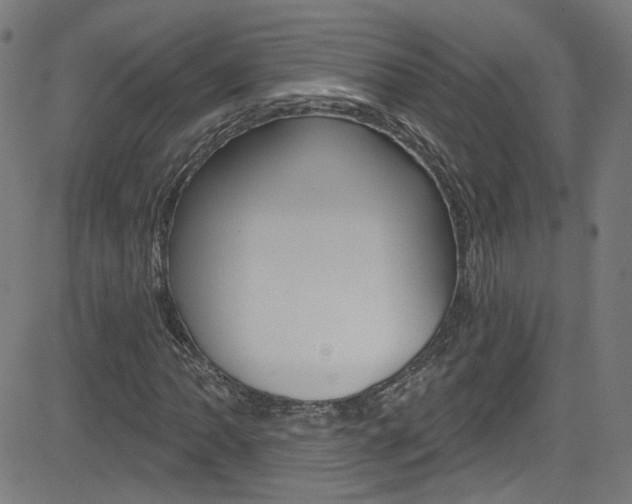 X0000082961062200702011107