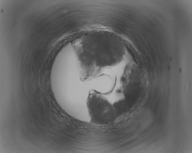 X0000082961063200702011107