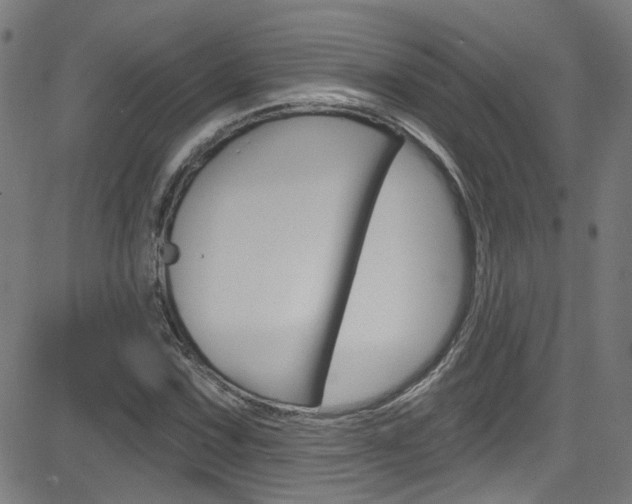 X0000082961067200702011107