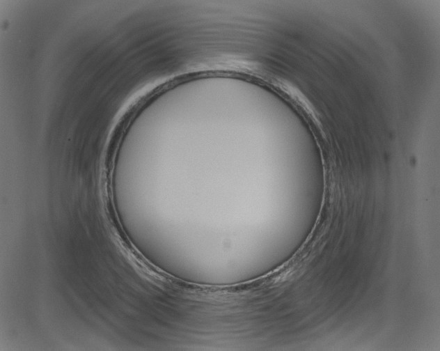 X0000082961072200702011107