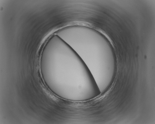X0000082961075200702011107