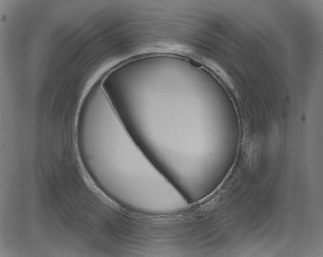 X0000082961080200702011107