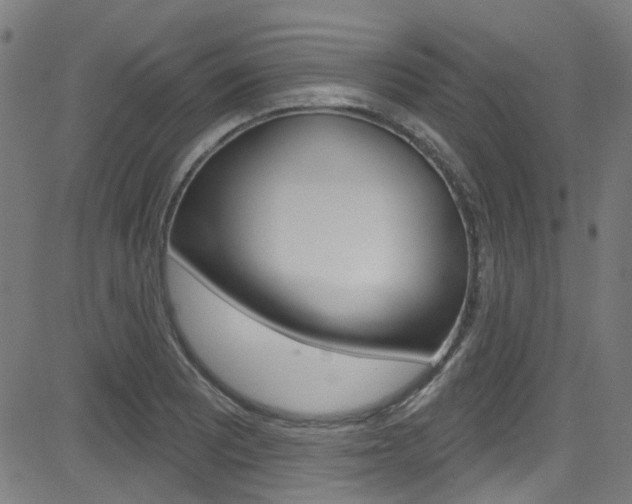X0000082961081200702011107