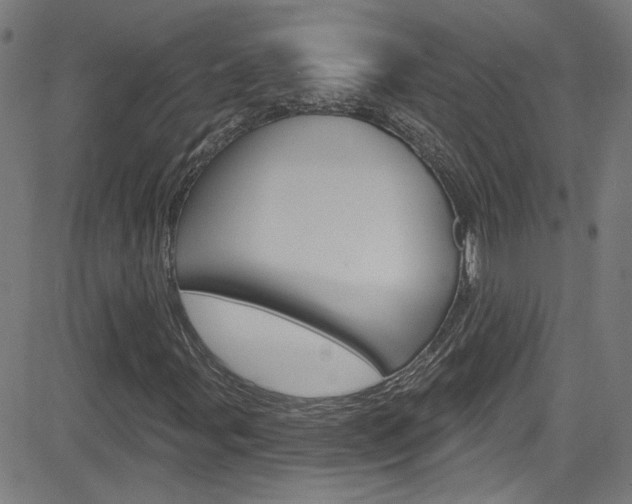 X0000082961107200702011106