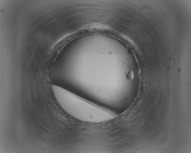 X0000082961112200702011106