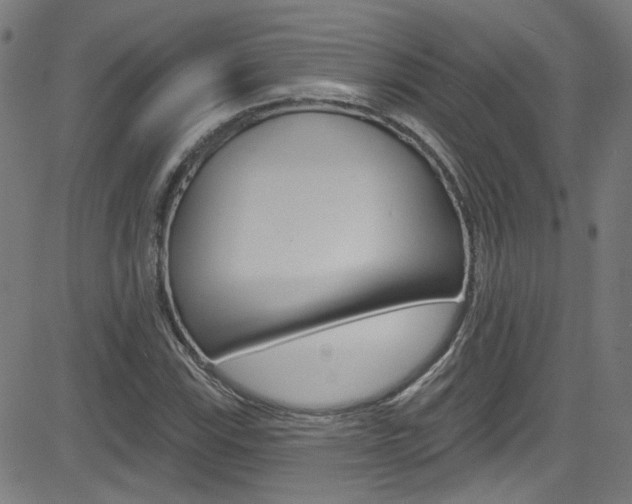 X0000082961115200702011106