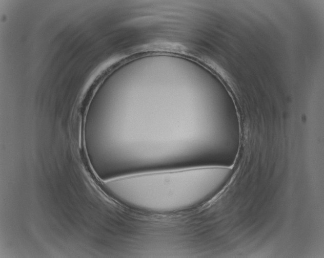 X0000082961123200702011106