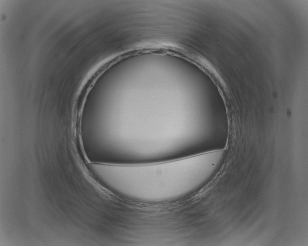 X0000082961124200702011106