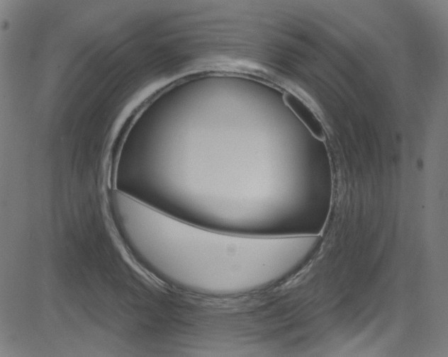X0000082961128200702011106