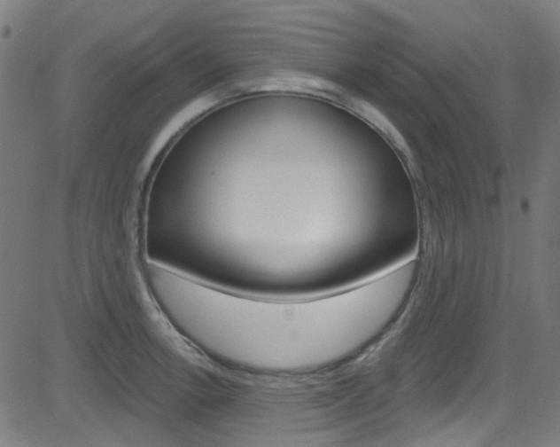 X0000082961138200702011106