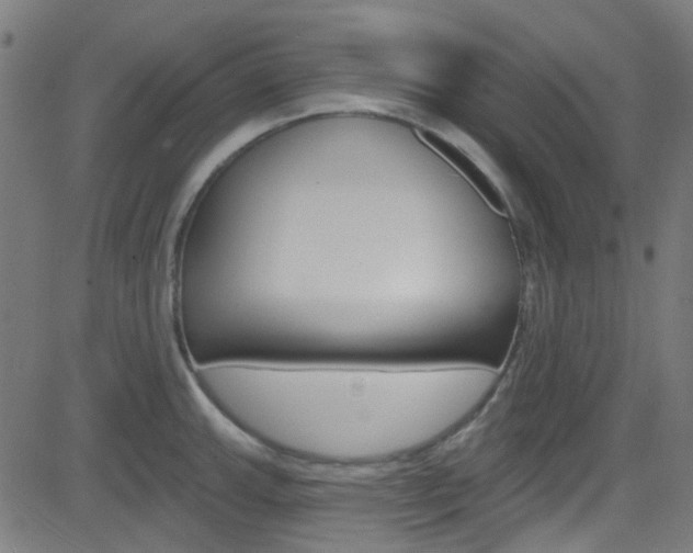 X0000082961143200702011106