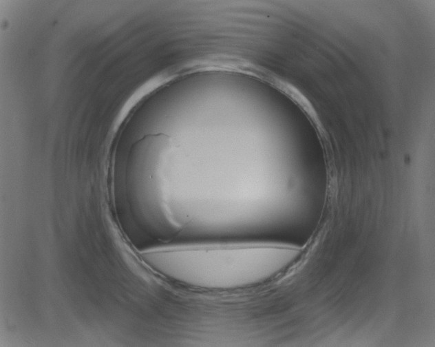 X0000082961146200702011106