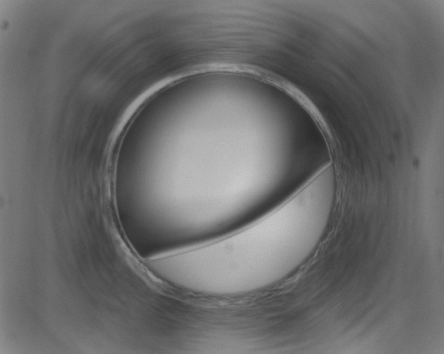 X0000082961148200702011106