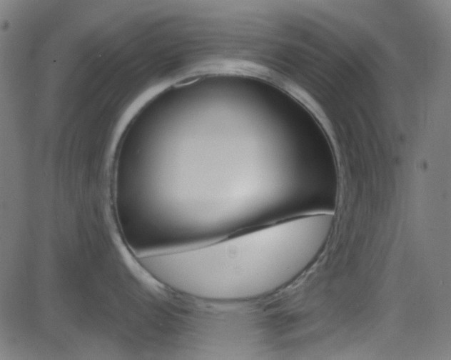 X0000082961152200702011106