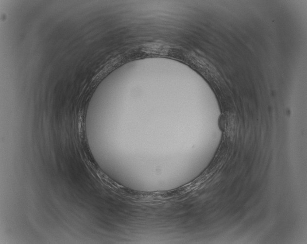 X0000082961154200702011105