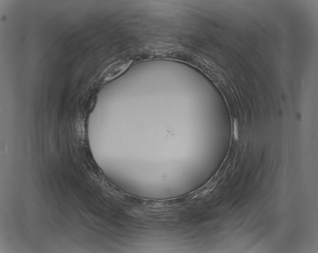 X0000082961155200702011105