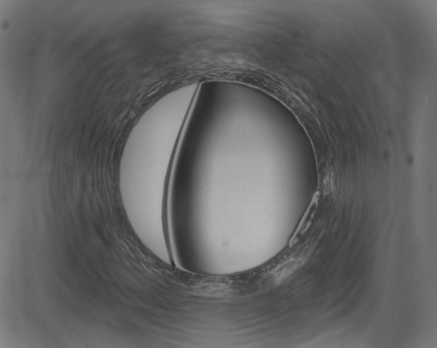 X0000082961156200702011105