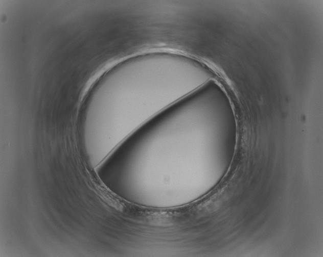 X0000082961167200702011105