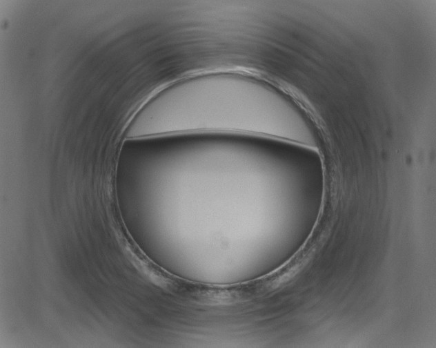 X0000082961177200702011105