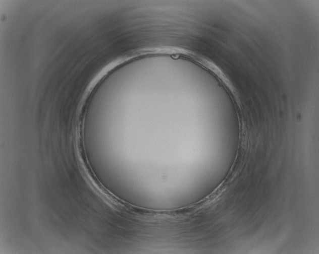 X0000082961187200702011105