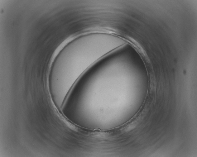 X0000082961188200702011105