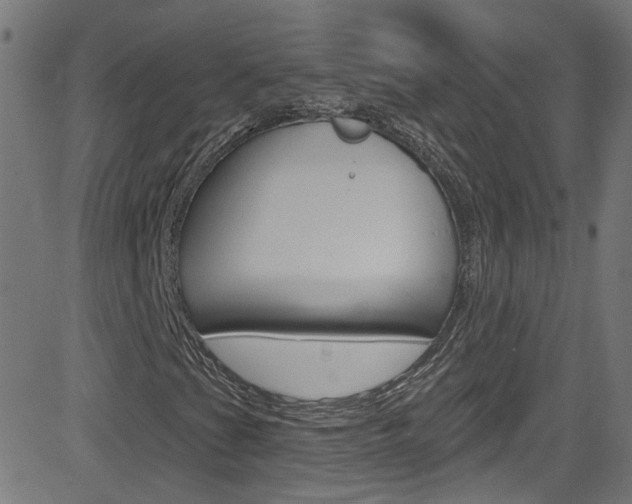 X0000082961201200702011104
