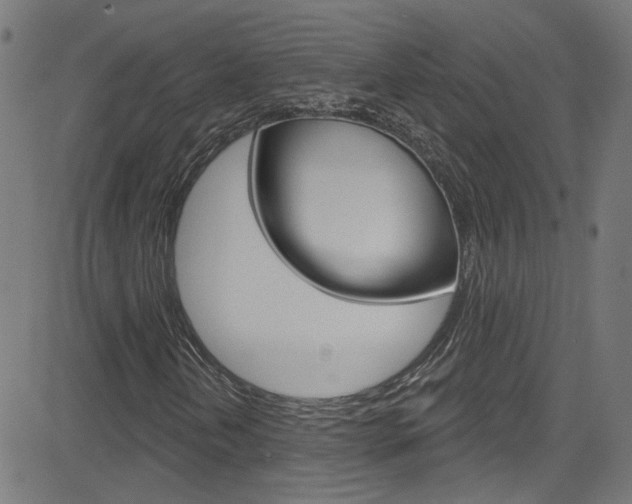 X0000082961202200702011104