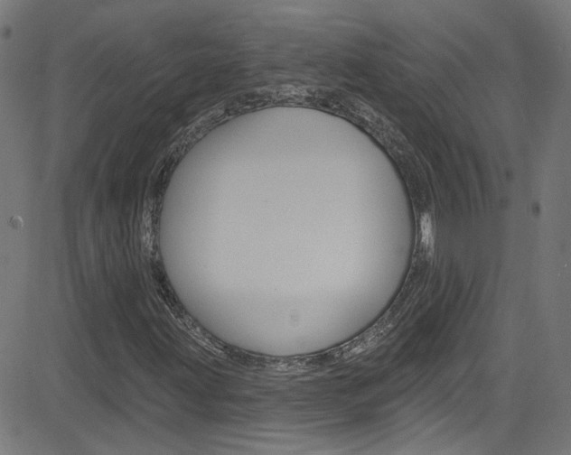 X0000082961203200702011104