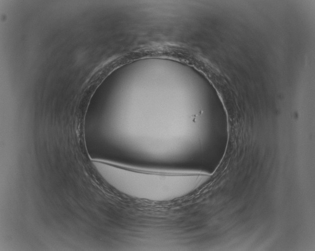 X0000082961206200702011104