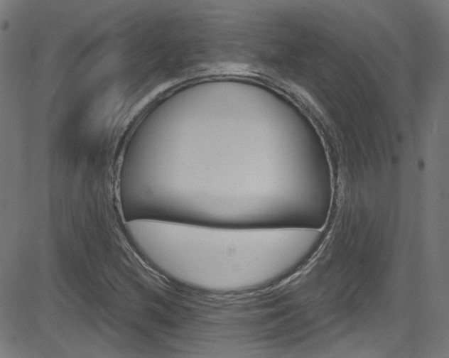 X0000082961212200702011104