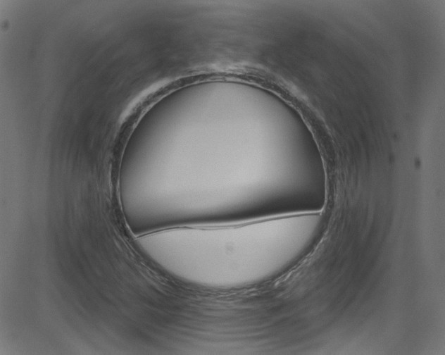 X0000082961214200702011104
