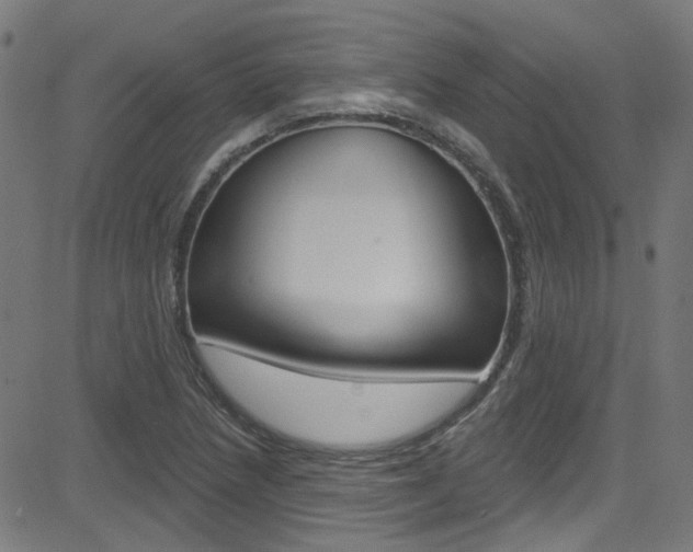 X0000082961218200702011104