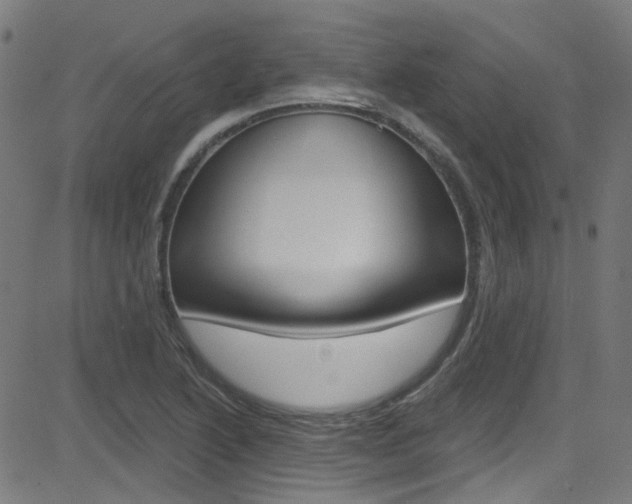 X0000082961222200702011104