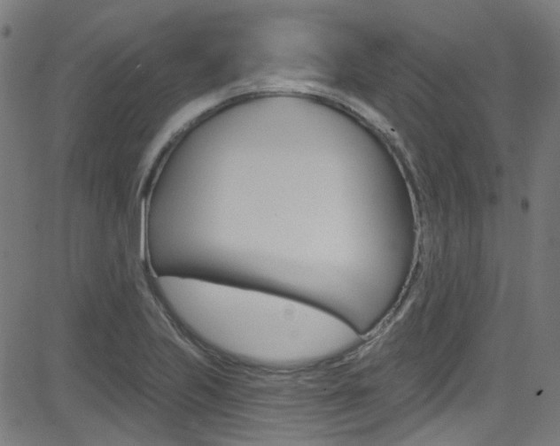 X0000082961223200702011104