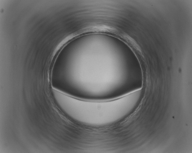 X0000082961226200702011104
