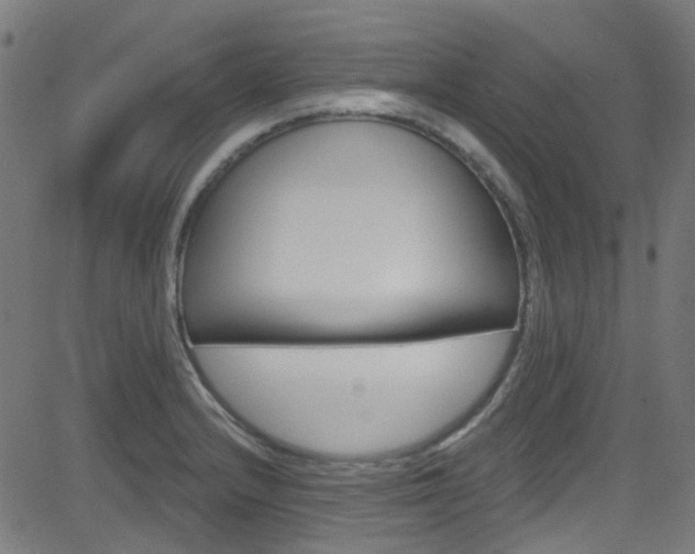 X0000082961232200702011104