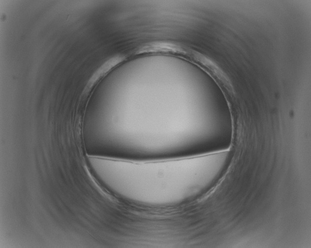 X0000082961233200702011104