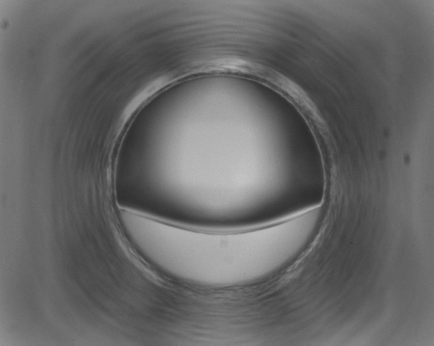 X0000082961234200702011105