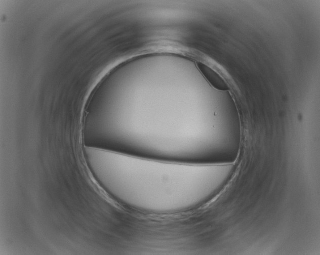 X0000082961236200702011105