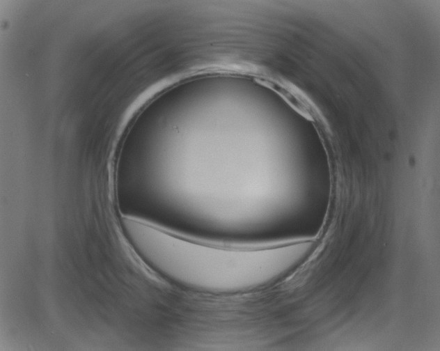 X0000082961238200702011105